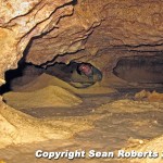 Bill Walker in a virgin cave.