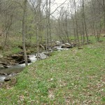 The creek entering Friars Hole Cave System