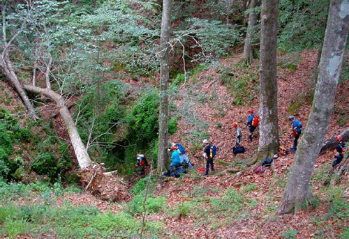 Cavers heading down into the sinkhole at Climax Cave