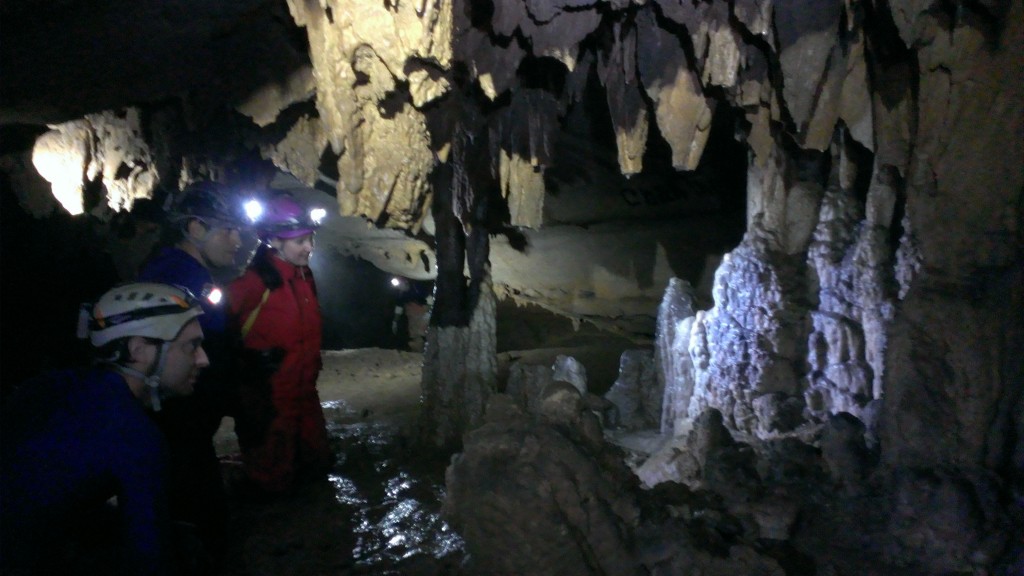 Looking at some of the formations in the back of the cave