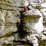 Mudpuppy climbs while Boll Weevil watches from above