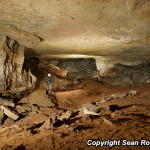 A large passage in Blue Springs Cave