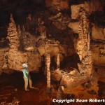 These were taken in the front section of the cave at Hanson's Crossing. Most were taken near the waterfall and formation area around it.