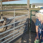 As close as Andie wanted to get to the emu