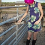 Cara finds the friendly emu