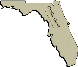 The Ocala Uplift