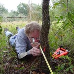 Buford Pruitt surveying