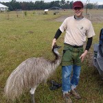 Adam Scherer and the killer emu