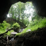 Looking out the Culverson Creek Entrance