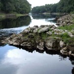 Suwannee River nearby