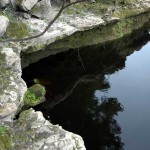 Exposed rock on river bank