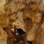 Brian Williams in Orange Lake Cave