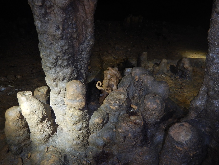 A small creature watched from behind the rocks.